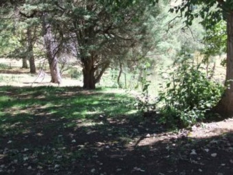 0 0, Tamworth NSW 2340