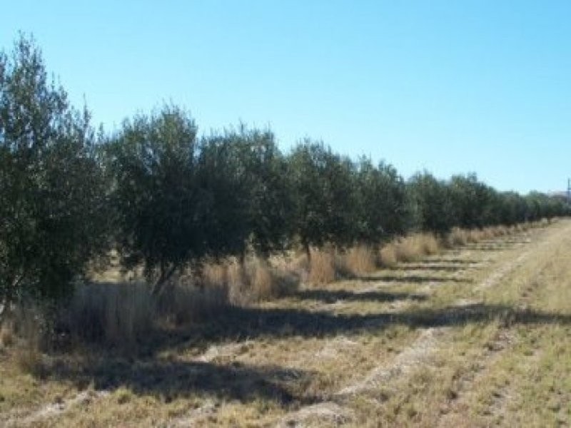 0 0, Tamworth NSW 2340