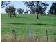 0 0, Tamworth NSW 2340