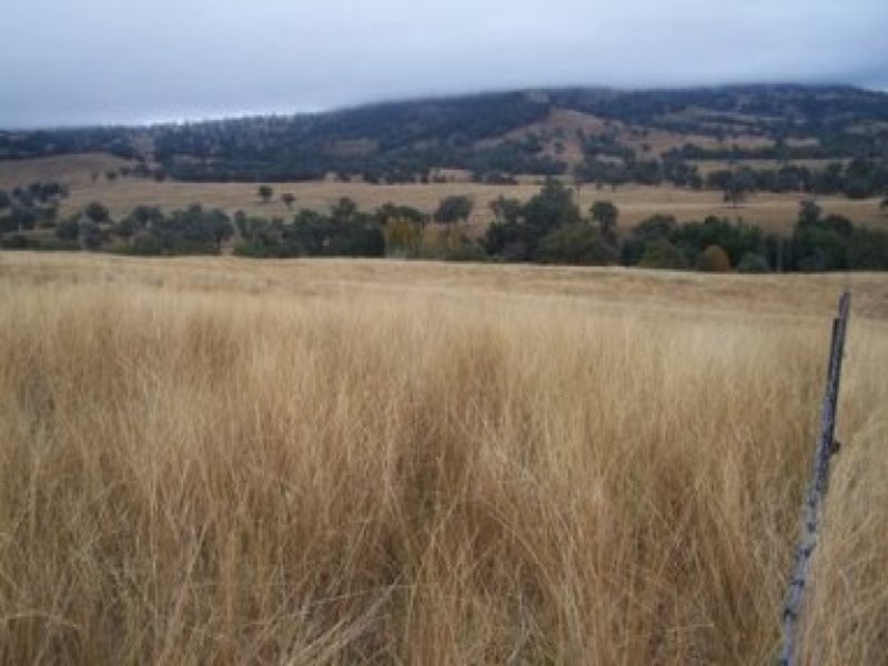 0 0, Tamworth NSW 2340