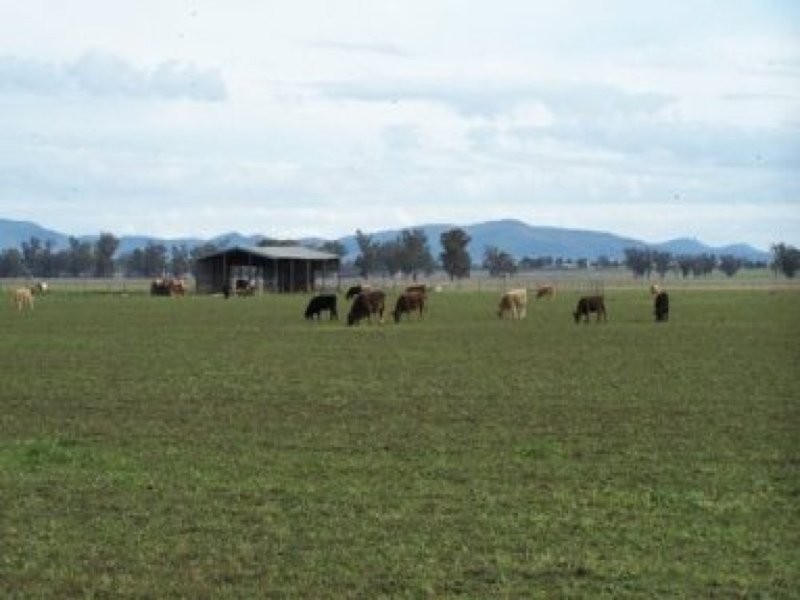 0 0, Tamworth NSW 2340