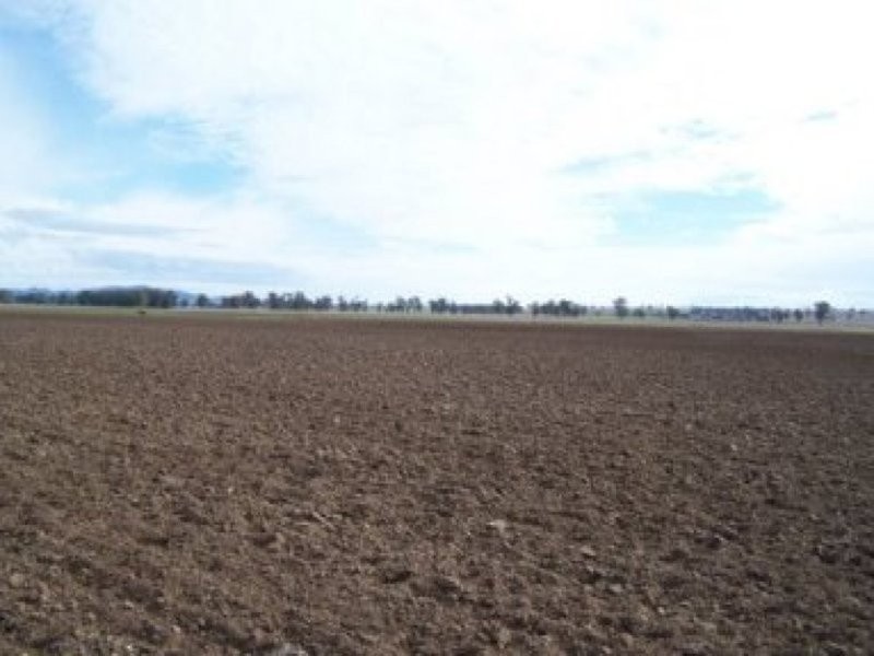 0 0, Tamworth NSW 2340