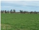0 0, Tamworth NSW 2340
