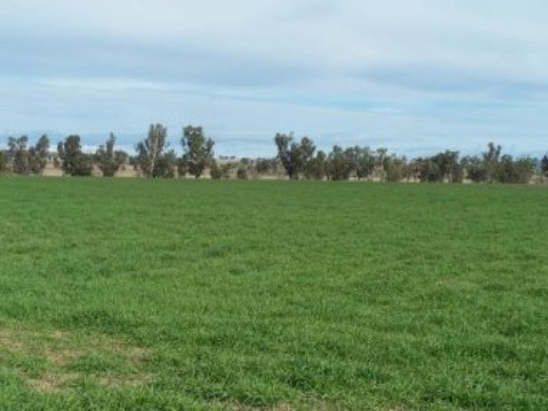 0 0, Tamworth NSW 2340