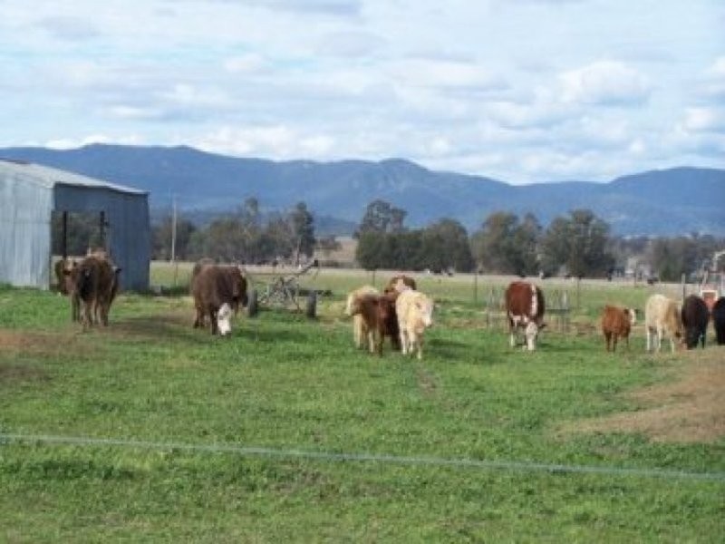 0 0, Tamworth NSW 2340