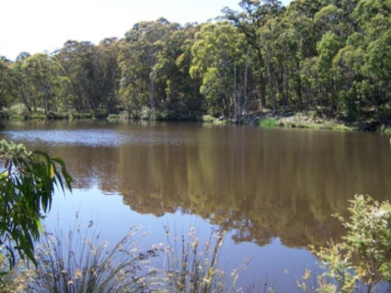 0 Koolkuna, Niangala NSW 2354