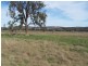 0 “Tarcolly”, Quirindi NSW 2343