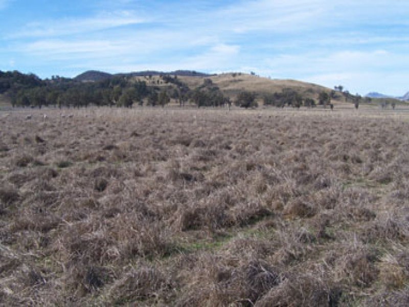 0 “Tarcolly”, Quirindi NSW 2343