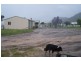 397 Crow Mountain Road, Manilla NSW 2346