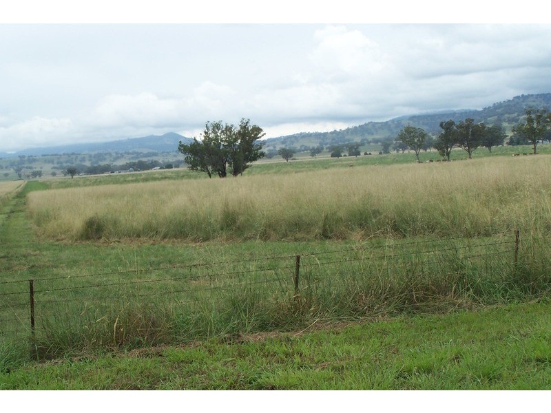 “Eloura” -, Willow Tree NSW 2339