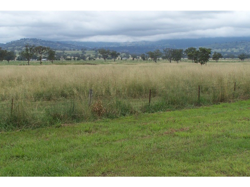 “Eloura” -, Willow Tree NSW 2339