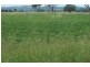 “Eloura” -, Willow Tree NSW 2339