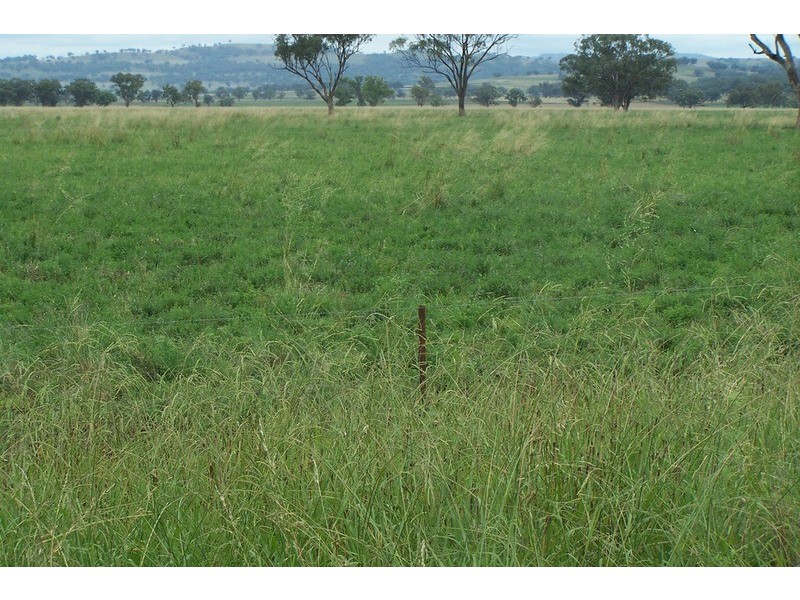 “Eloura” -, Willow Tree NSW 2339