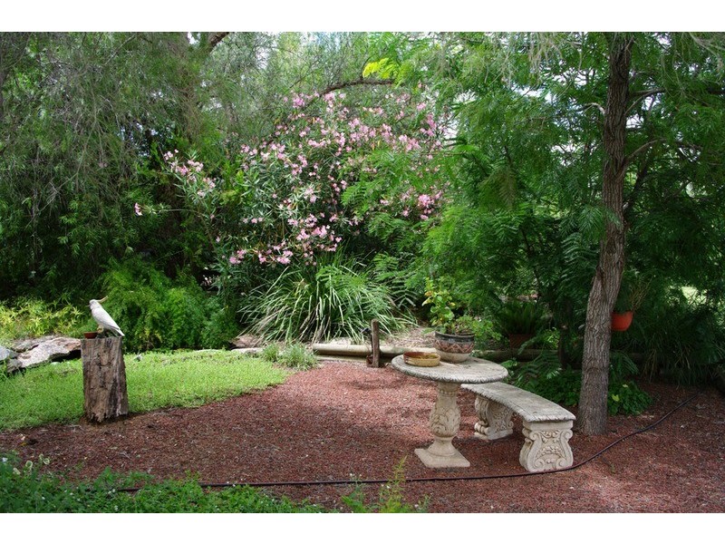 52 Rushes Creek Road, Manilla NSW 2346