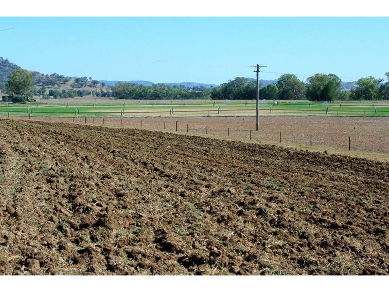 Summerfield Manilla Road, Upper Manilla NSW 2346