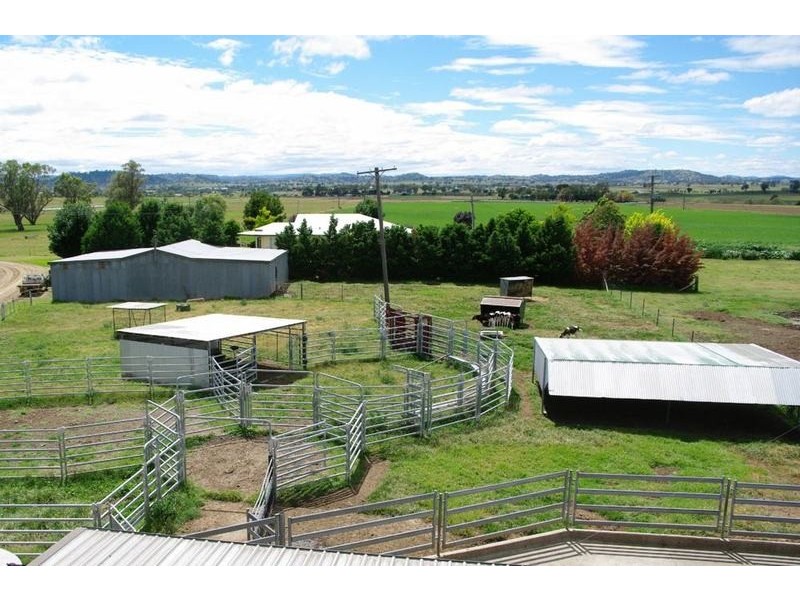 Ultimate Dairy Farm, Manilla NSW 2346
