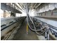 Ultimate Dairy Farm, Manilla NSW 2346