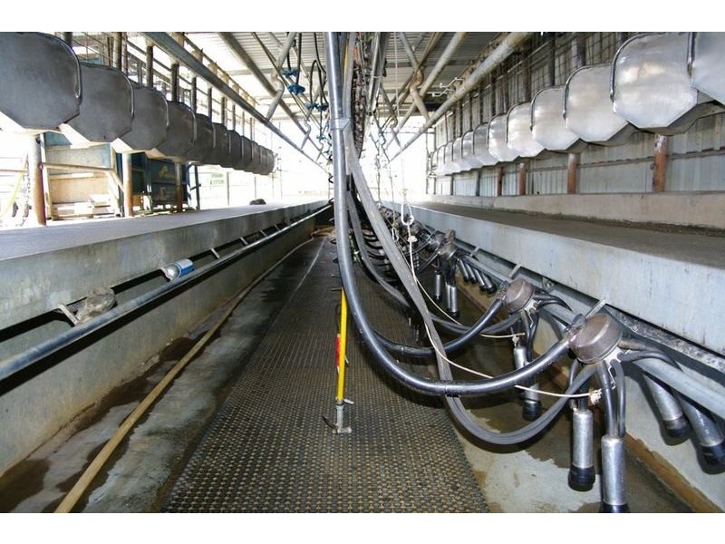 Ultimate Dairy Farm, Manilla NSW 2346