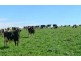 Ultimate Dairy Farm, Manilla NSW 2346