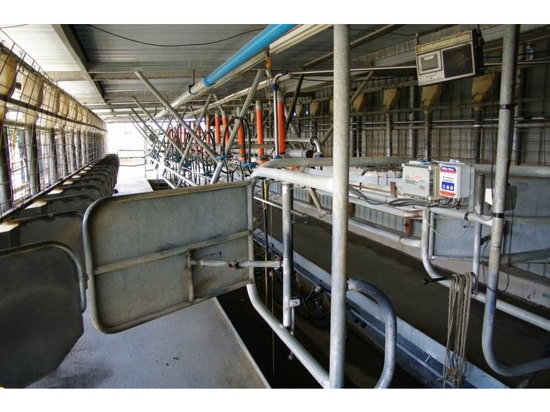 Ultimate Dairy Farm, Manilla NSW 2346