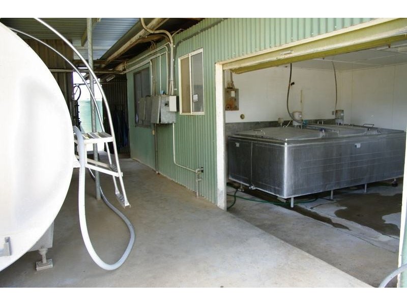 Ultimate Dairy Farm, Manilla NSW 2346