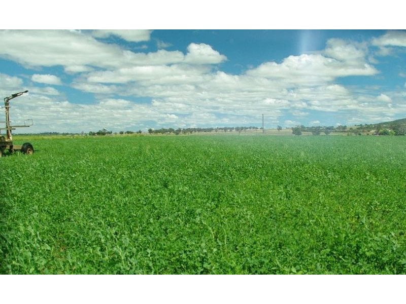 Ultimate Dairy Farm, Manilla NSW 2346