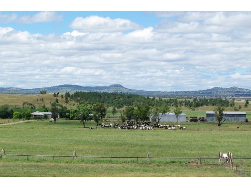 Ultimate Dairy Farm, Manilla NSW 2346
