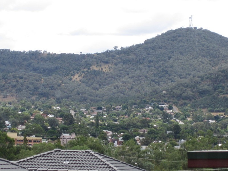 17 Gipps Street, Tamworth NSW 2340