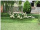 Tamworth NSW 2340
