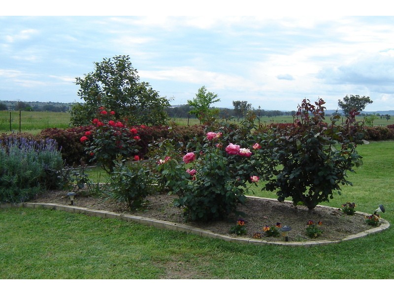 Yademan  Park, Tamworth NSW 2340