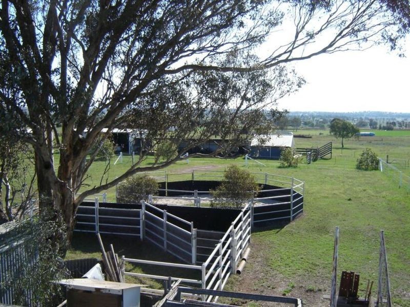 Yademan  Park, Tamworth NSW 2340