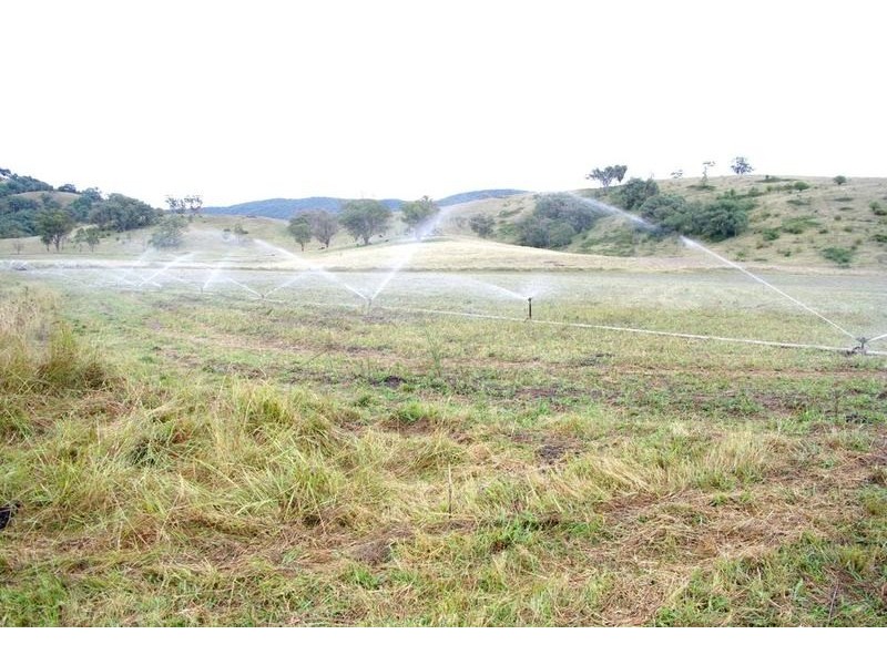 120 Dungowan Dam Road, Ogunbil NSW 2340