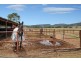 Fairview/644 Garthowen Road, Attunga NSW 2345