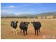 Fairview/644 Garthowen Road, Attunga NSW 2345