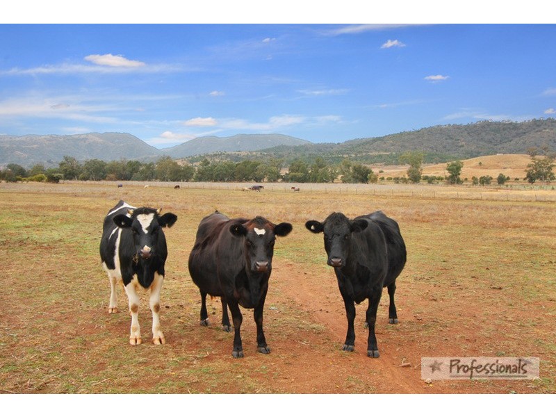 Fairview/644 Garthowen Road, Attunga NSW 2345