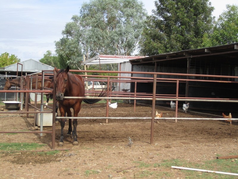Fairview/644 Garthowen Road, Attunga NSW 2345