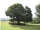 Fairview/644 Garthowen Road, Attunga NSW 2345