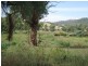 Fairview/644 Garthowen Road, Attunga NSW 2345