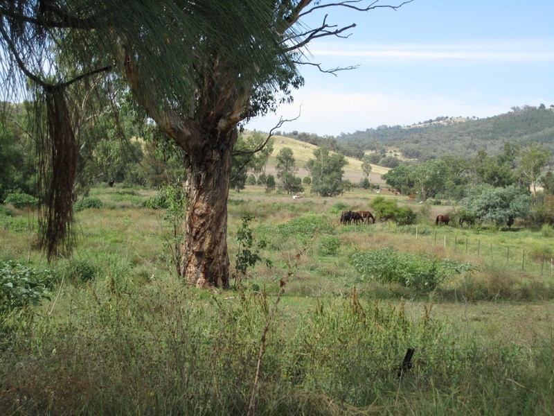 Fairview/644 Garthowen Road, Attunga NSW 2345