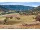 “Whitefield”/120 Dungowan Dam Road, Ogunbil NSW 2340