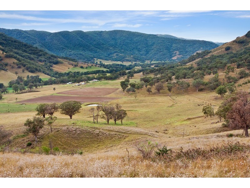 “Whitefield”/120 Dungowan Dam Road, Ogunbil NSW 2340