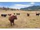 “Whitefield”/120 Dungowan Dam Road, Ogunbil NSW 2340