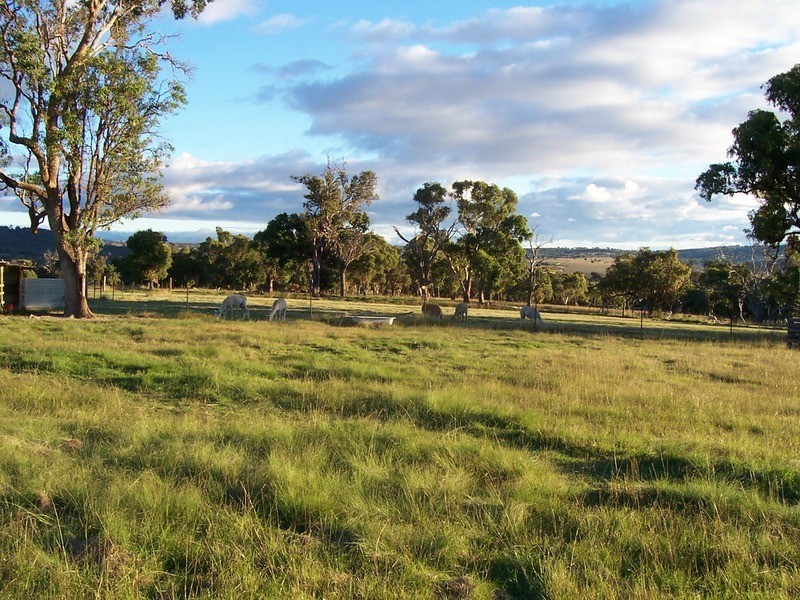 6400 New England Highway, Kentucky NSW 2354