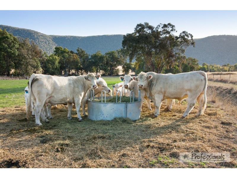 ‘Amarete’ Langens Lane, Moore Creek NSW 2340