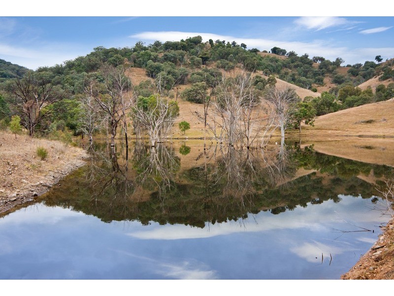 Whitefield/120 Dungowan Dam Road, Ogunbil NSW 2340