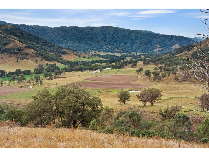 Whitefield/120 Dungowan Dam Road, Ogunbil NSW 2340