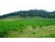 The Top Paddock Back Woolomin Road, Woolomin NSW 2340