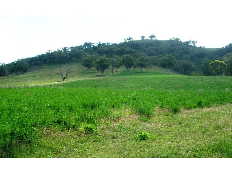 The Top Paddock Back Woolomin Road, Woolomin NSW 2340
