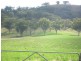 The Top Paddock Back Woolomin Road, Woolomin NSW 2340