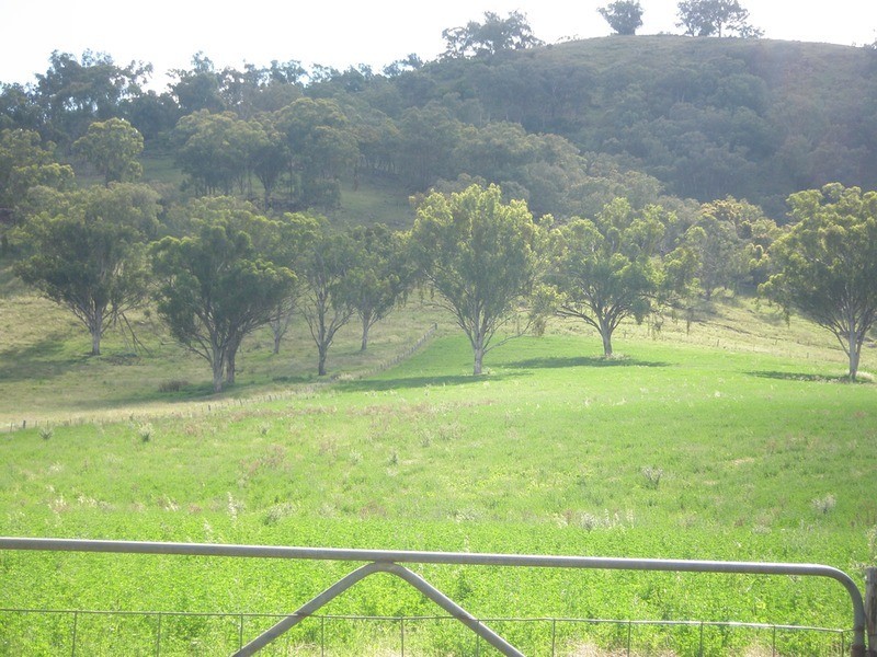The Top Paddock Back Woolomin Road, Woolomin NSW 2340